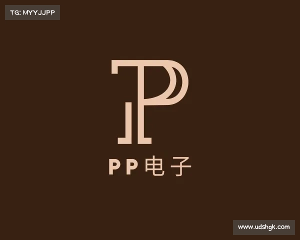 了解pp电子