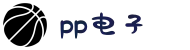 pp电子·(中国)官方网站